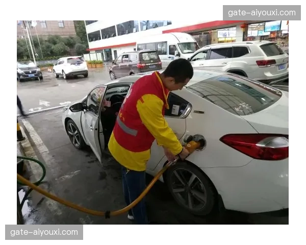 志愿者任务评分模型建立 实现人力资源的精准配置